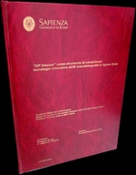 Tesi su DIP Dossier Master Sapienza_mini